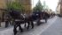 Telgter Kutschenwallfahrt am 30. Mai 2019 – Treffen auf der Planwiese und anschließender Kutschenkorso durch die historische Altstadt Telgtes