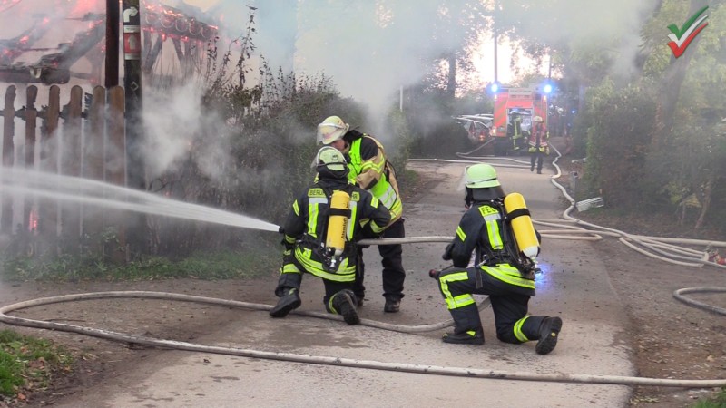 Großeinsatz im Waldgebiet – Grillhütte von Café Halle in Vollbrand – beliebtes Ausflugslokal gerettet