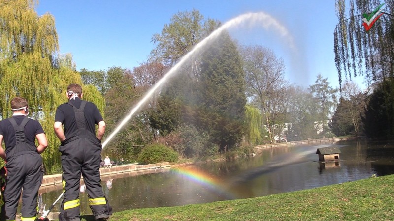 🦢🚨Feuerwehreinsatz am Stadtgartenteich: Teichbewohner werden mit frischem Wasser versorgt