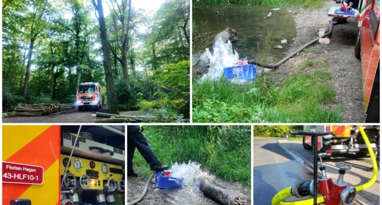 2026 06 24 – Die Kaulquappen-Retter – FF LG43 Löschgruppe Tücking füllt Tümpel mit Wasser auf