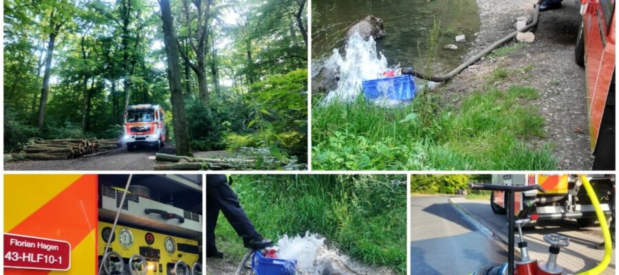 2026 06 24 – Die Kaulquappen-Retter – FF LG43 Löschgruppe Tücking füllt Tümpel mit Wasser auf