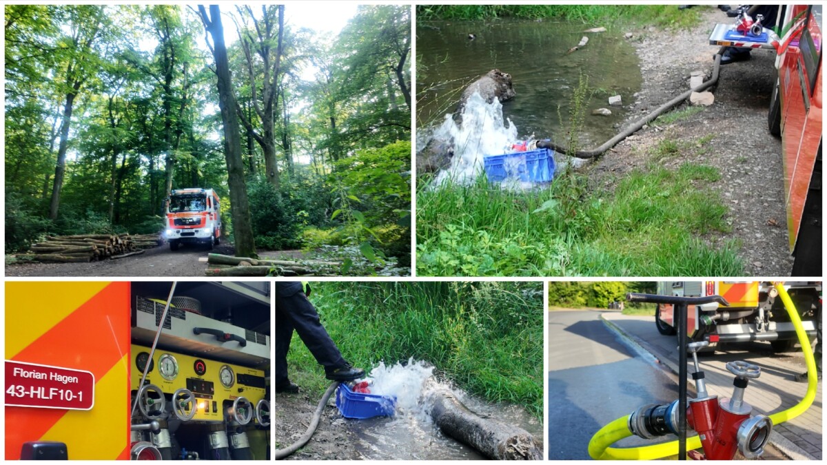 2026 06 24 – Die Kaulquappen-Retter – FF LG43 Löschgruppe Tücking füllt Tümpel mit Wasser auf